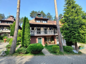 Velika Recepcija 29 Zlatibor